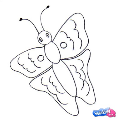 378x386 How To Draw Learn How To Draw A Butterfly