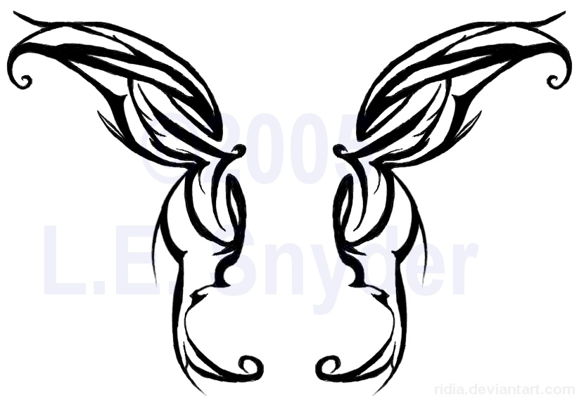 823x565 Butterfly Wings By Ridia