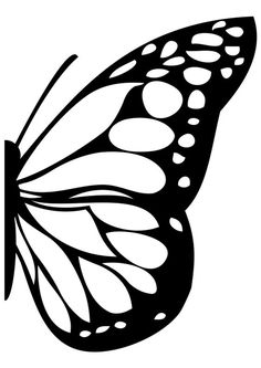 236x333 Image Result For Monarch Butterfly Wings Mural Wing Murals