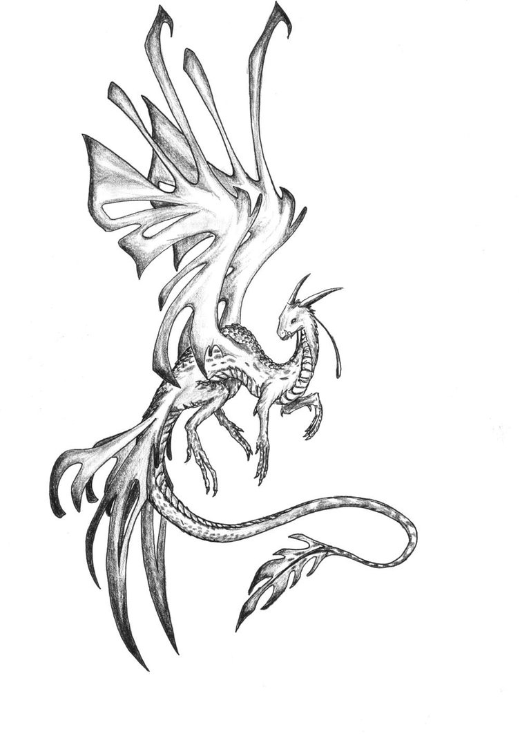 753x1062 Butterfly Wings By Dashase