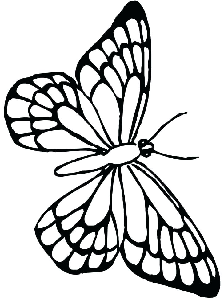 728x970 Butterfly Wings Coloring Pages Genesisar.co