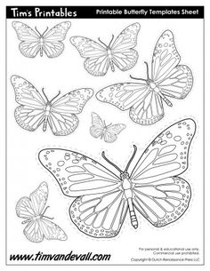 236x305 Free Butterfly Printable Butterfly Drawing, Butterfly