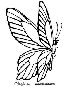 236x295 Hippy Motors Big Butterfly Car Sticker Camper Van Window Decal