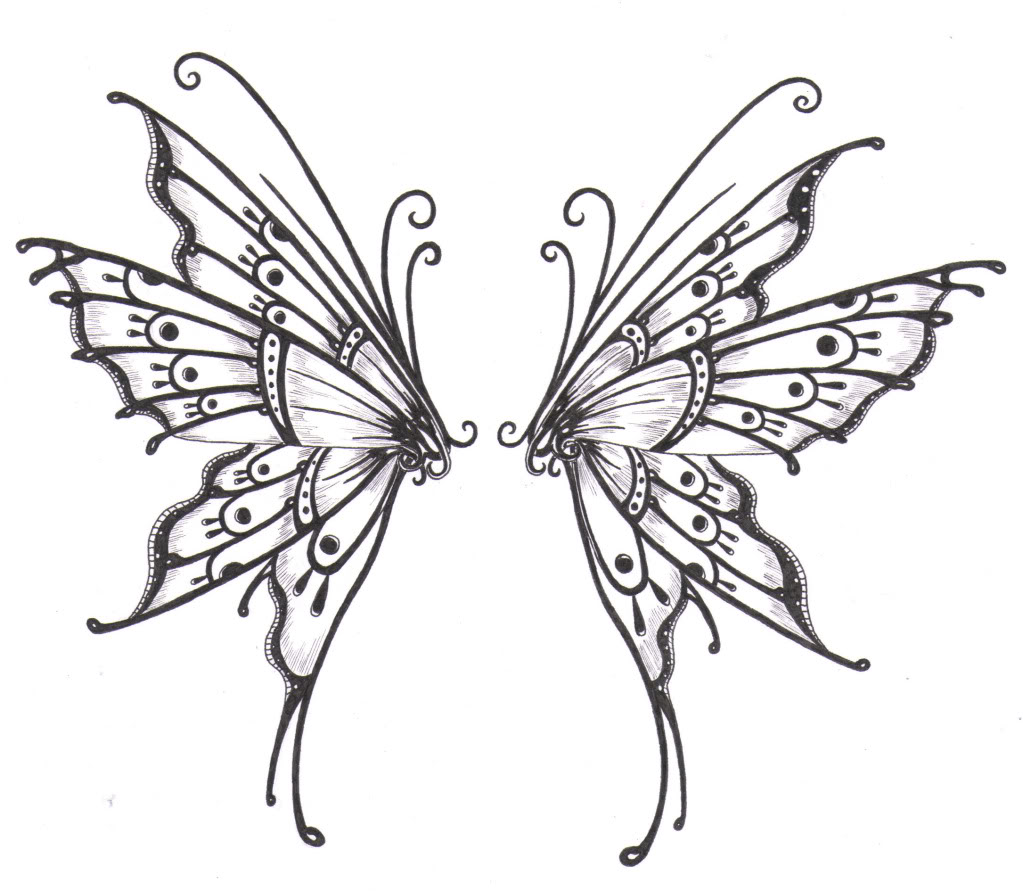 1023x891 Best Photos Of Butterfly Wings Drawing