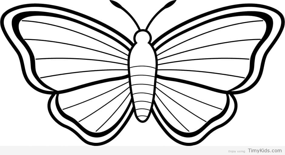 940x511 Butterfly Outline Coloring Pages.html