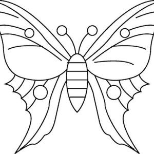 300x300 Butterfly, Simple Butterfly Drawing Coloring Page Simple