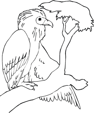 400x480 Buzzard Is Sitting On The Tree Branch Coloring Page Free