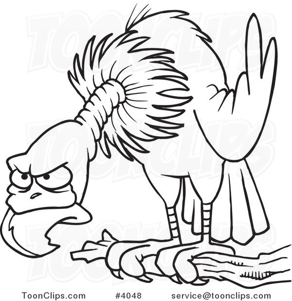 581x600 Cartoon Black And White Line Drawing Of A Perched Buzzard