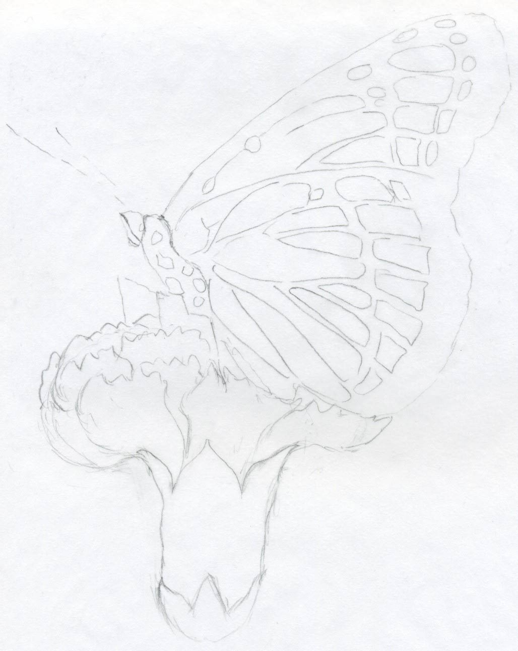 1028x1292 Give Some Easy Drawing Done By Pencil Sketch