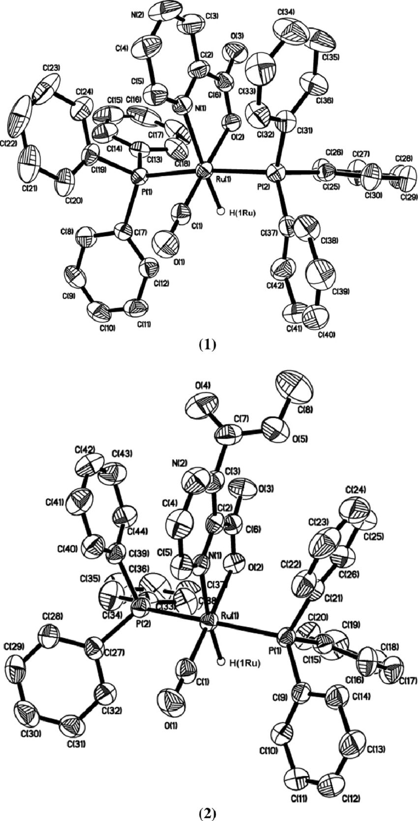 850x1668 Ortep Drawings Of The Complexes [Ruh(Co)(Pyzcooh)(Pph 3 ) 2 ] (1),