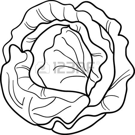 450x448 Black And White Cartoon Illustration Of Cabbage Or Lettuce