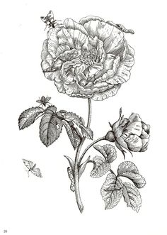 236x331 Pin By Kim Harris On Inspire