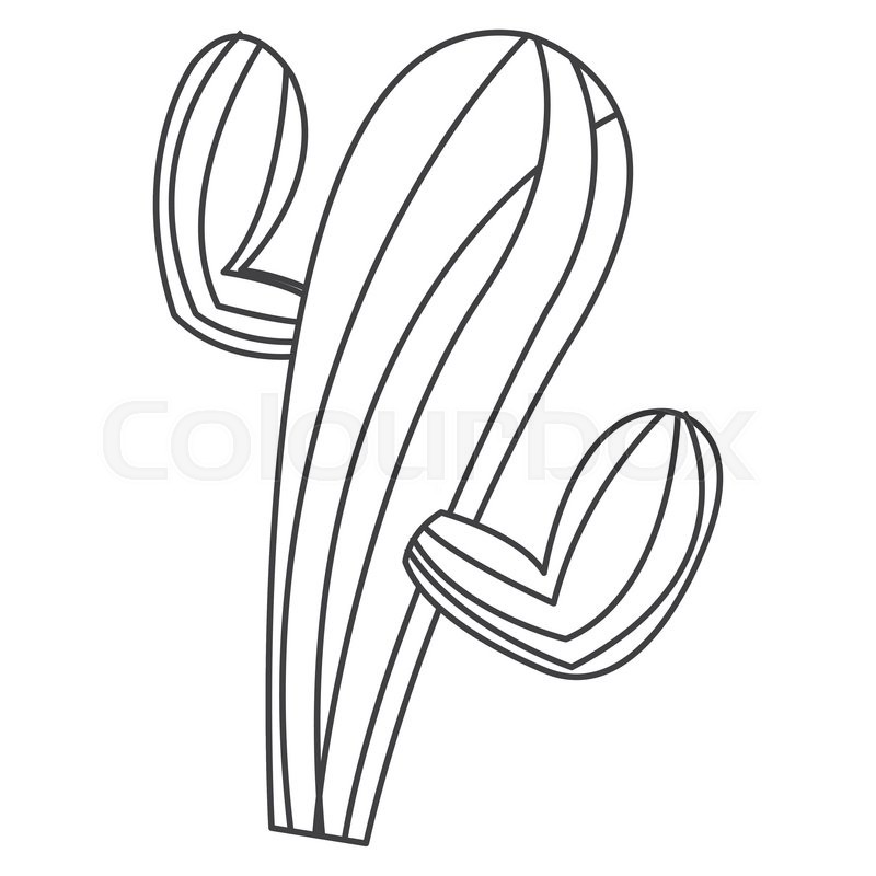 800x800 Flat Design Cactus Cartoon Icon Vector Illustration Stock Vector