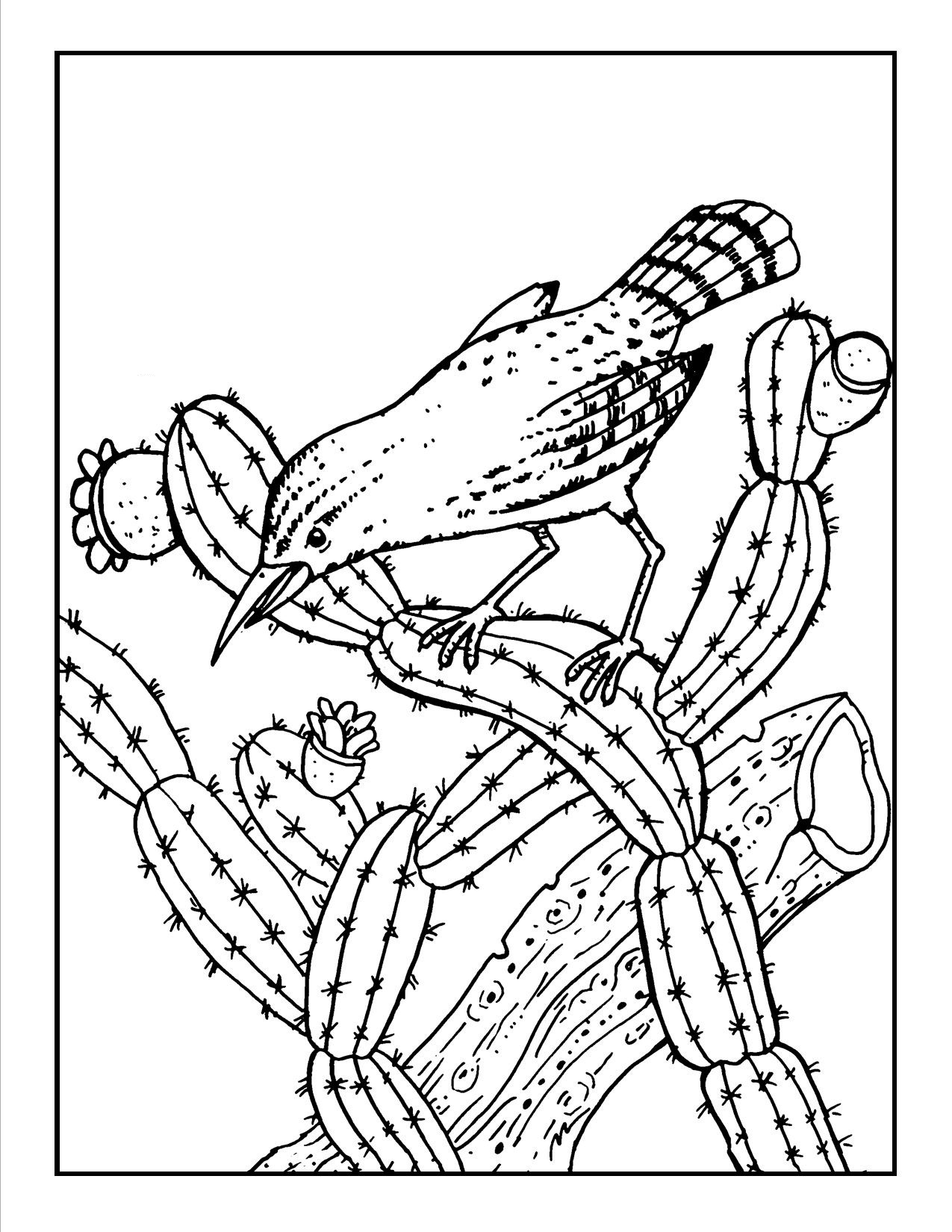 1275x1650 Free Printable Cactus Coloring Pages For Kids