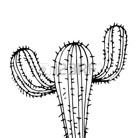 450x450 Cactus, Nature, Illustration, Vector, Plant, Green, Flower, Art