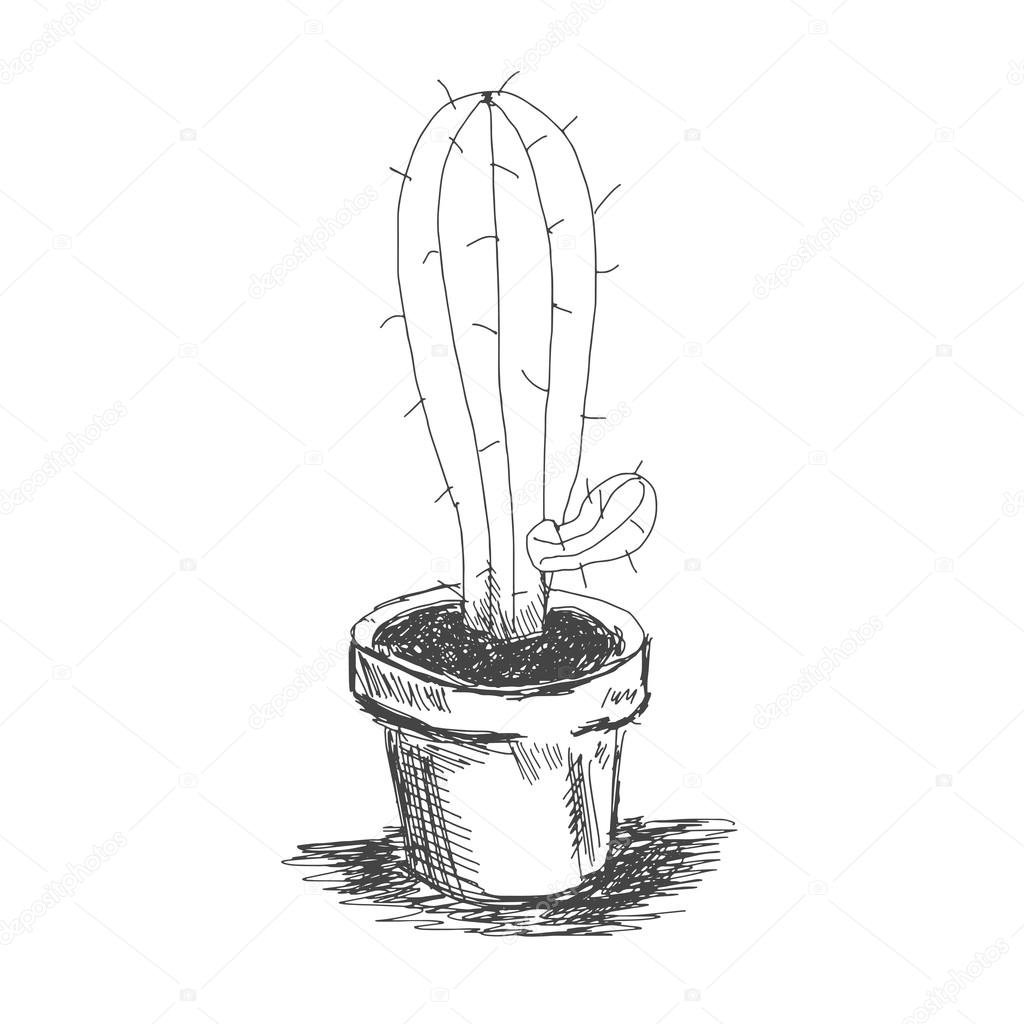 1024x1024 Vector Sketch Illustration Eps 10 Cactus In A Pot Stock Vector