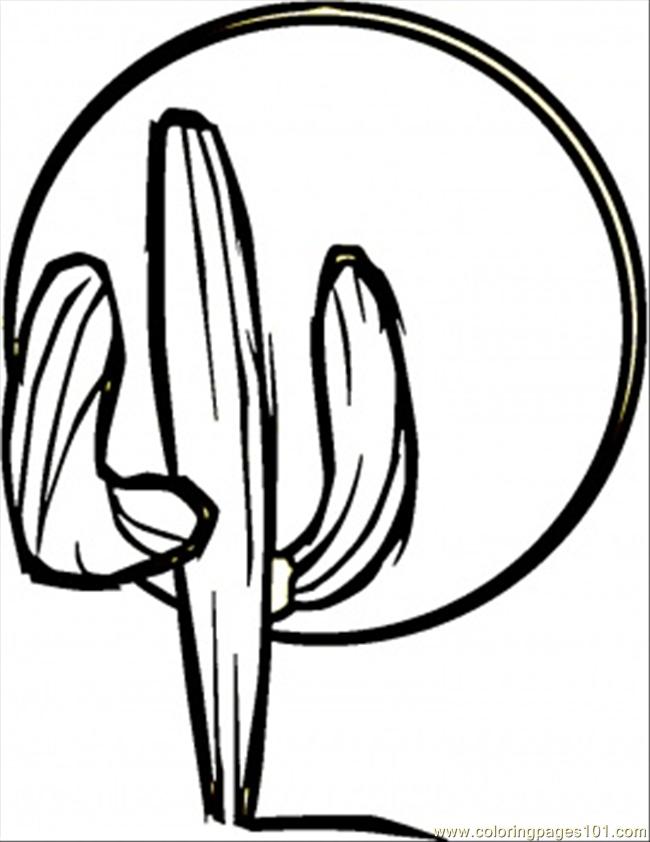 650x842 Cactus Coloring Page 551792