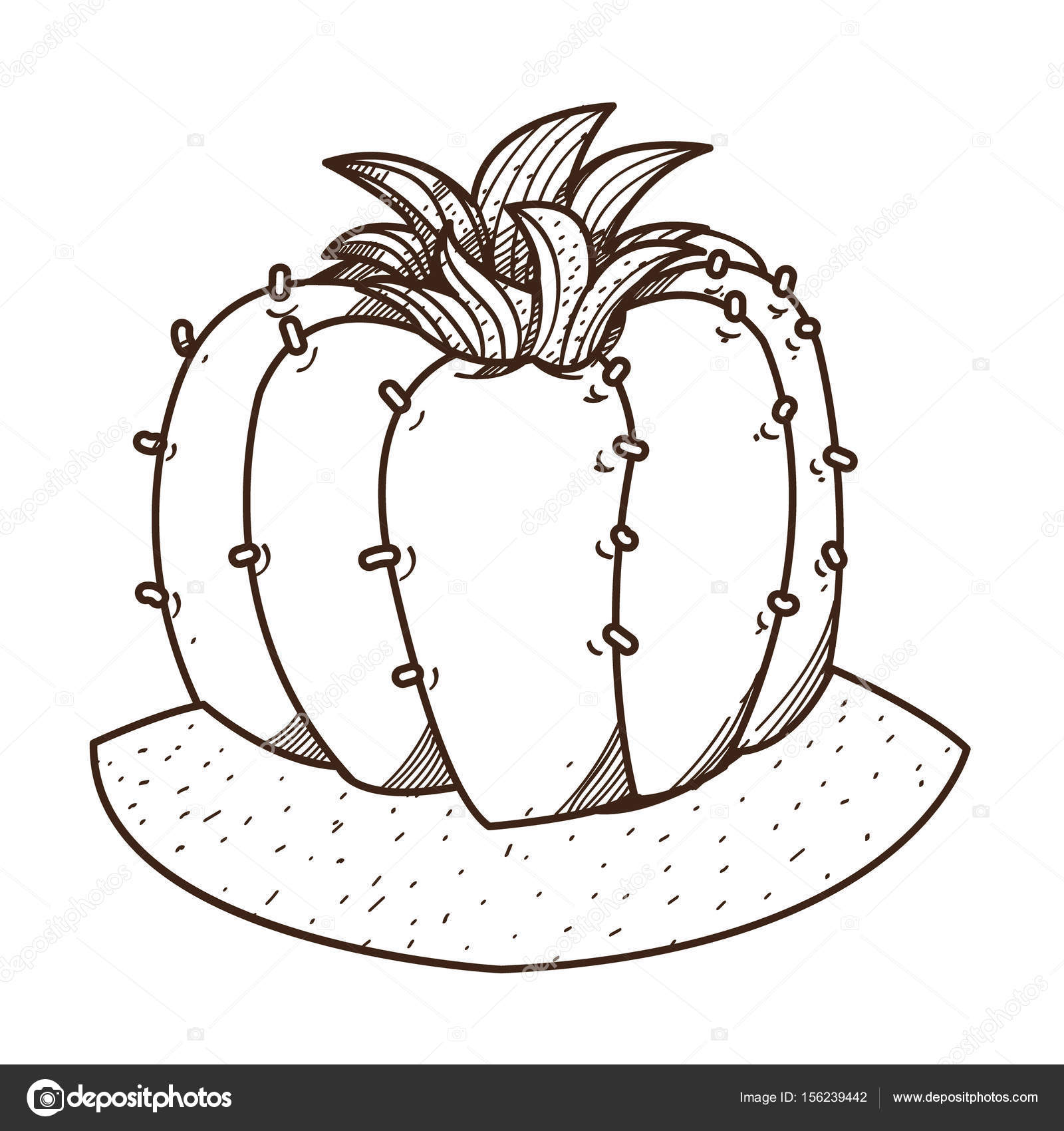 1600x1700 Blooming Cactus Outline Drawing Stock Vector Filkusto
