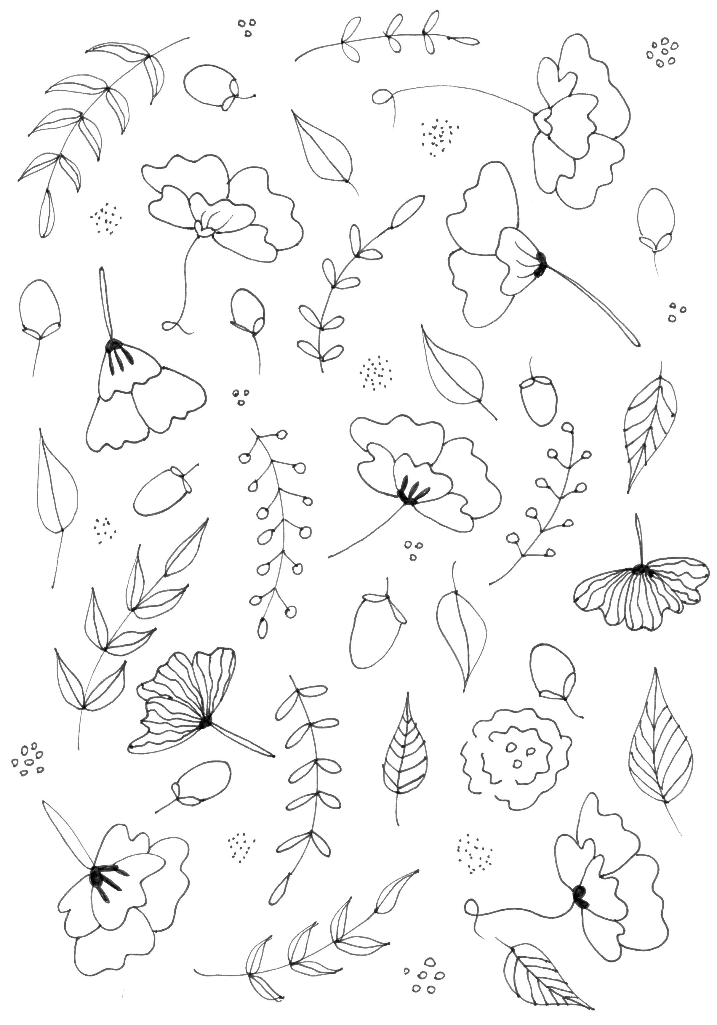 2420x3460 Botanical Line Drawing Practice And Pattern Skillshare Projects