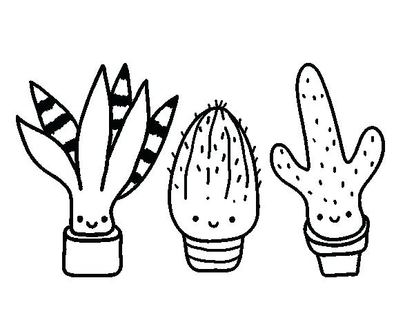 600x470 Cactus Coloring Page Murs