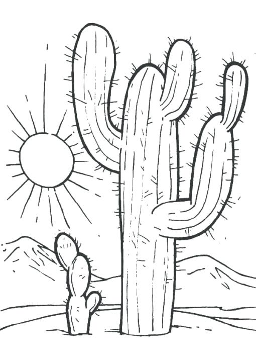 510x724 Cactus Coloring Page T Sunset Coloring Pages Cactus At Where We