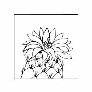 300x300 Cactus With Big Flower Coloring Page