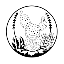 225x224 Image Result For Cactus Sketch Tumblr 333 Cacti