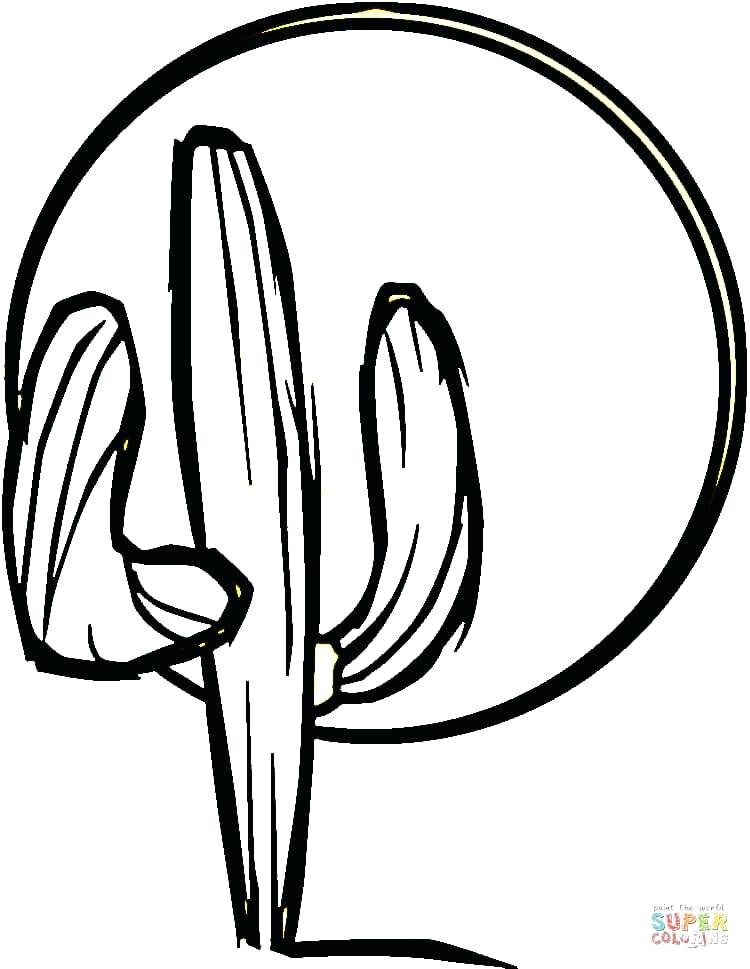 750x969 Mexico Coloring Page Countries Cultures Cactus Coloring Pages