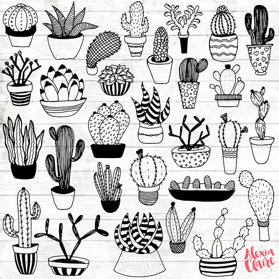 570x570 Succulent Clipart Hand Drawn Cactus Clipart Potted Cactus