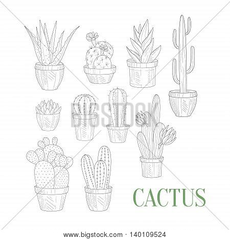 450x470 Different Cacti Pots Hand Drawn Vector Amp Photo Bigstock