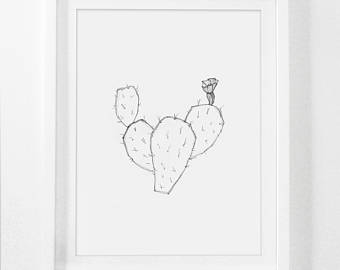 340x270 Drawn Cactus Pencil Drawing