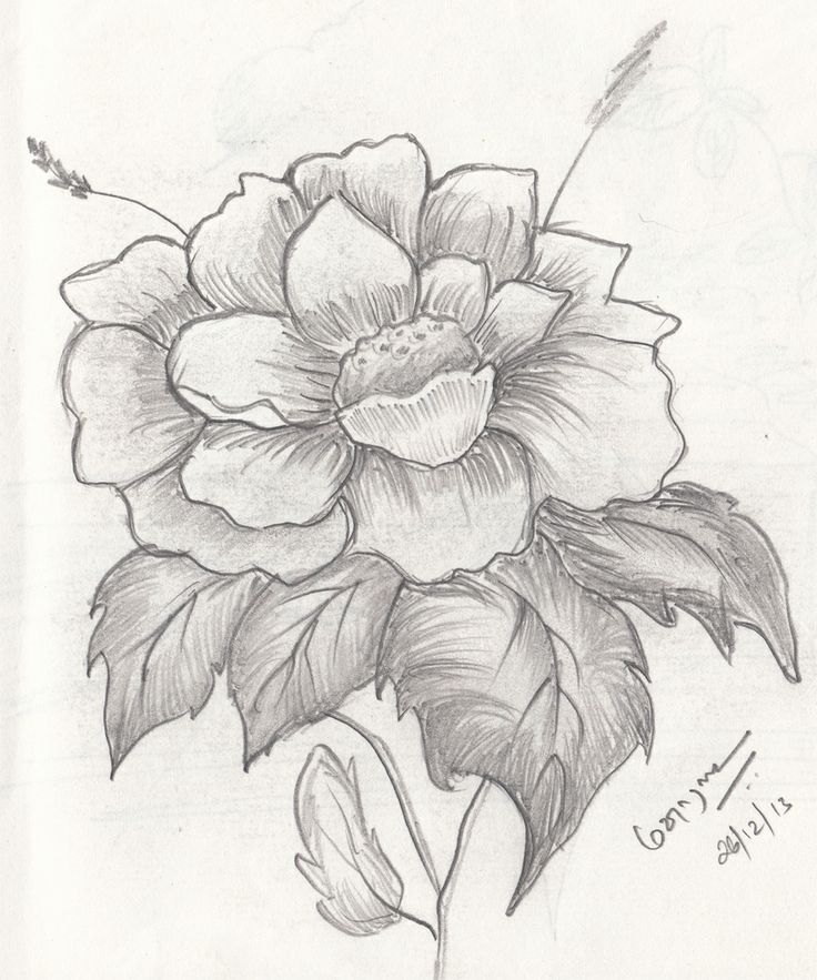 736x883 45 Best Pencil Drawing Images On Water Colors