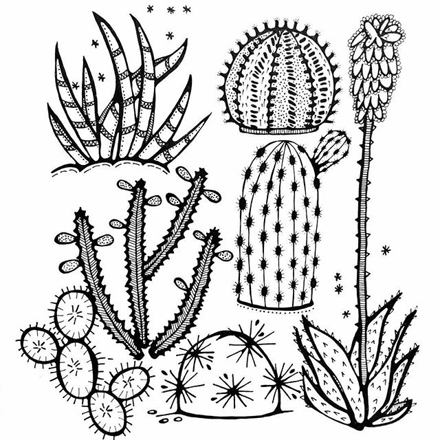 640x640 Finished! Drawing 2131, Subject Draw A Cactus. Tijd Voor Een