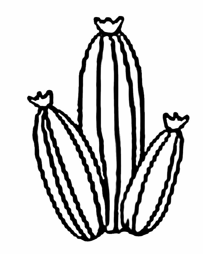 800x1000 Free Coloring Pages Printable Pictures To Color Kids Drawing Ideas