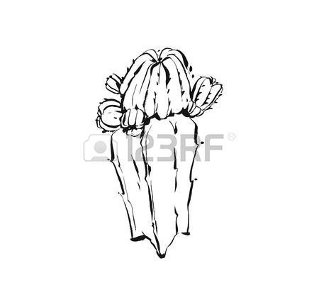 450x416 Hand Drawn Vector Abstract Graphic Drawing Cactus Plant