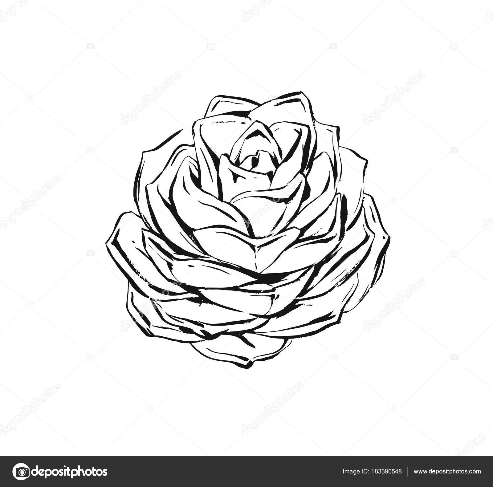 1600x1581 Hand Drawn Vector Abstract Artistic Ink Textured Graphic Sketch