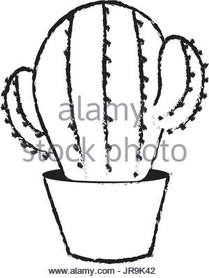 300x399 Figure Botanic Cactus Plant Of The Desert Nature Stock Vector Art