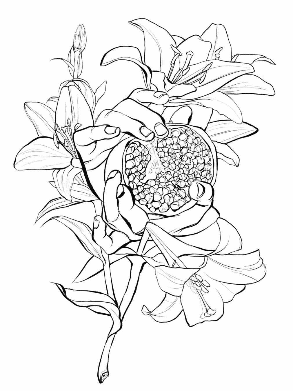 1011x1349 Plants Tumblr Drawing Darxxidecom