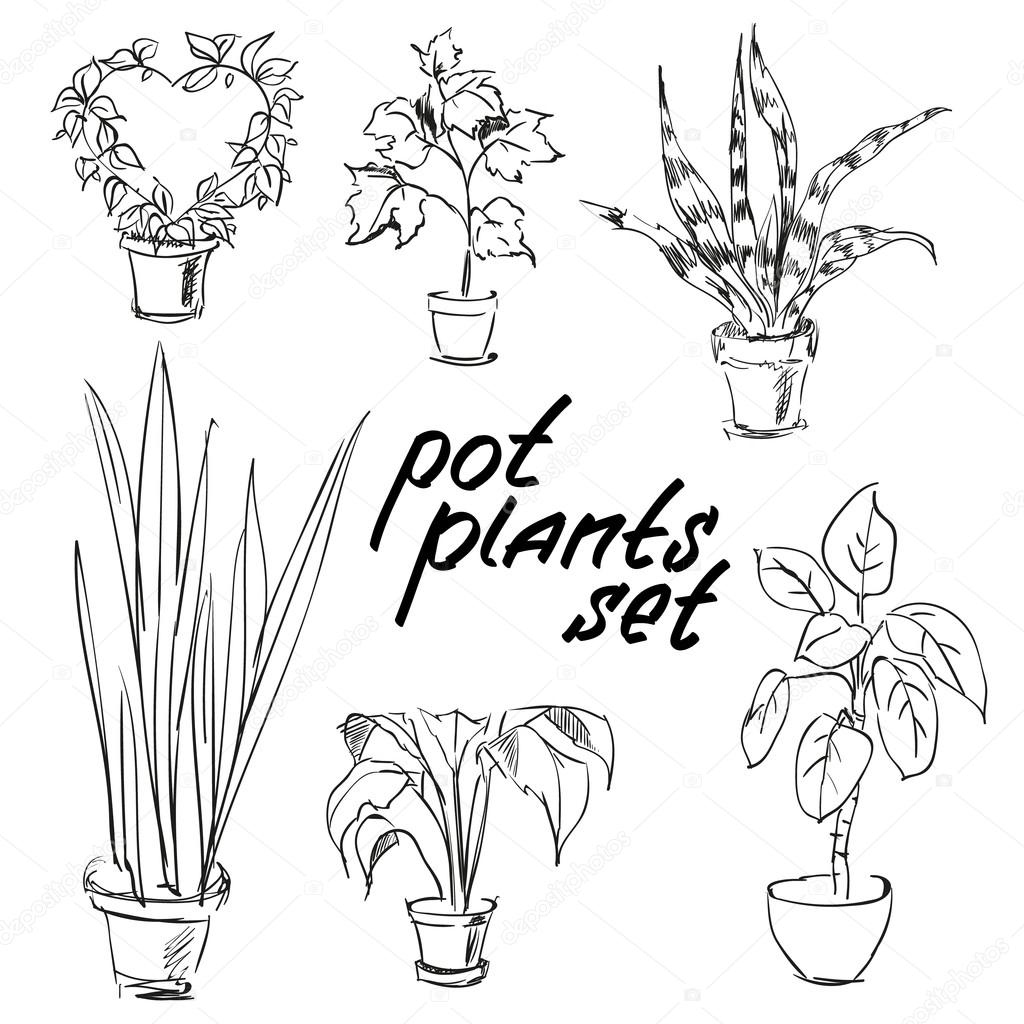 1024x1024 Potted Plant Drawing Bathroom Design Software