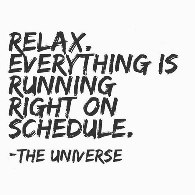 640x640 Silver Cactus Studio. The Universe Has Your Back