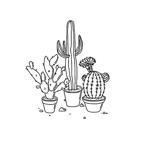 480x480 Christina [On Hiatus] (@contemplatively) Instagram Photos And Videos