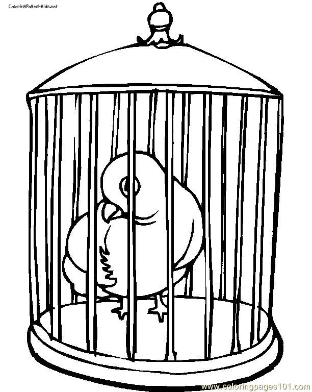 612x768 Parrot In Cage Coloring Page