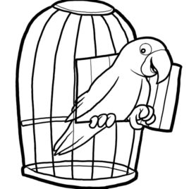 268x268 White Vintage Bird Cage