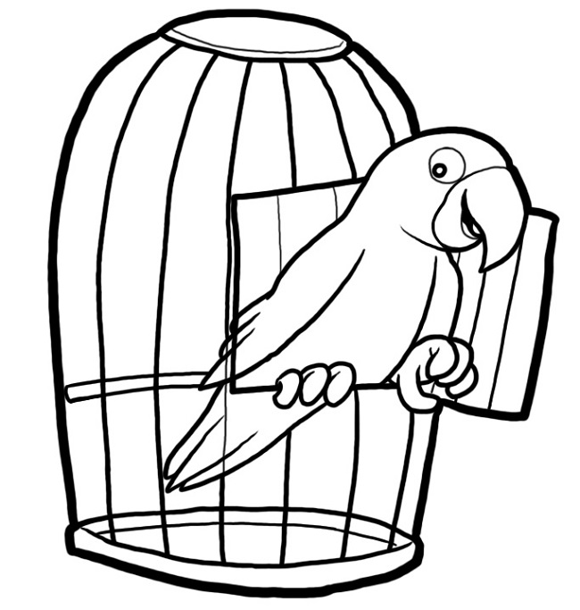 650x683 Free Bird Cage Coloring Page Coloring Pages Bird Cages