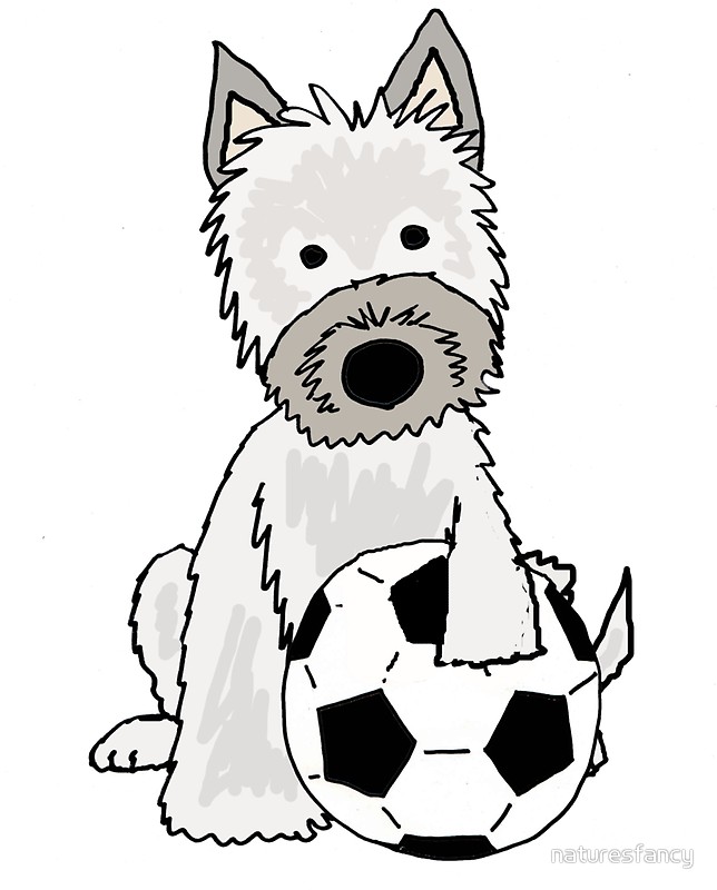 644x800 Cool Funky Cairn Terrier Dog Playing Football Stickers By