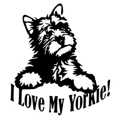 236x236 Cool Sign For Above Food Bowls For The Dogs Food