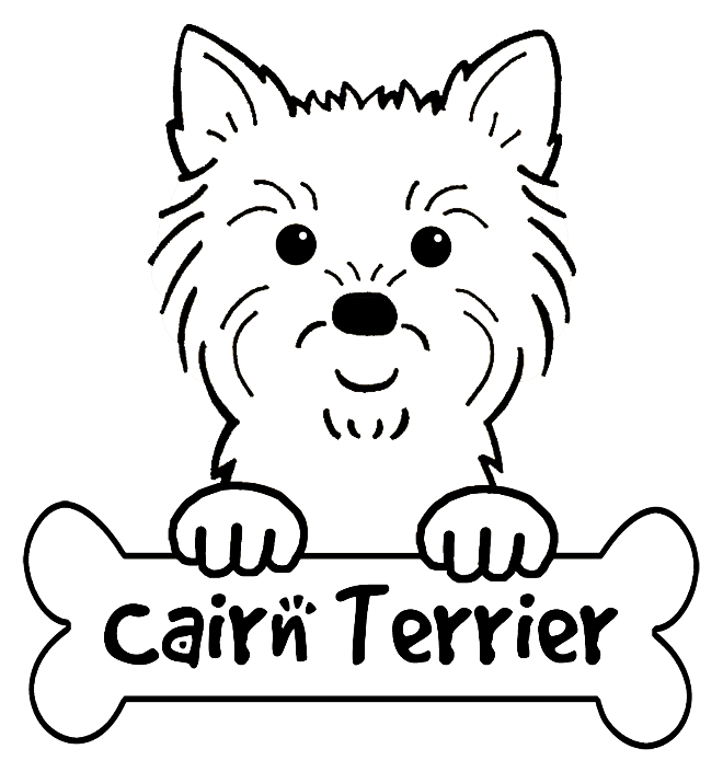 660x705 How To Draw Cairn Terrier Apk Download Drawing