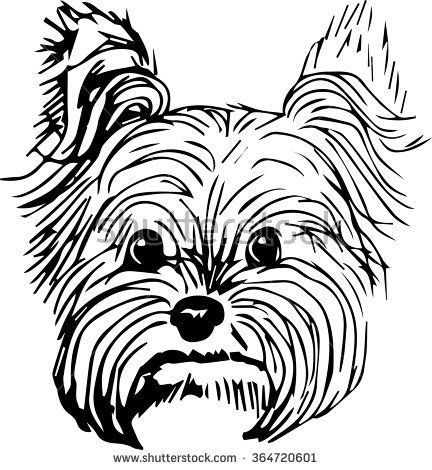 432x470 Yorkshire Terrier Dog Vector Illustration. Hand Drawn Small Dog