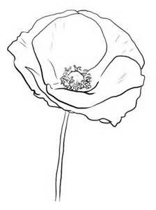 224x300 The Best California Poppy Drawing Ideas On Flower