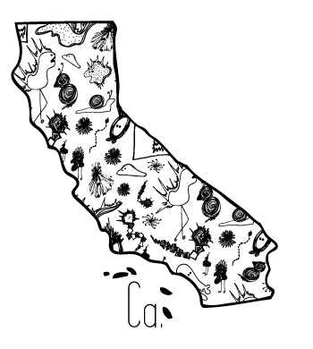 350x390 Who We Are Creative Creatures Amp Co.